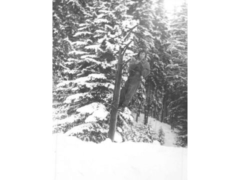 Foto 7